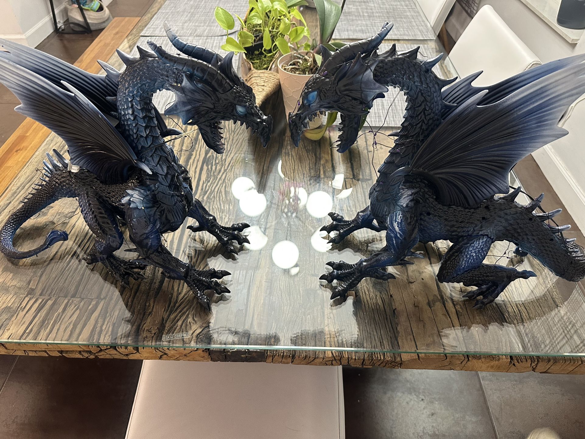 Large Dragons