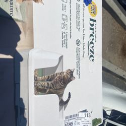 cat litter box