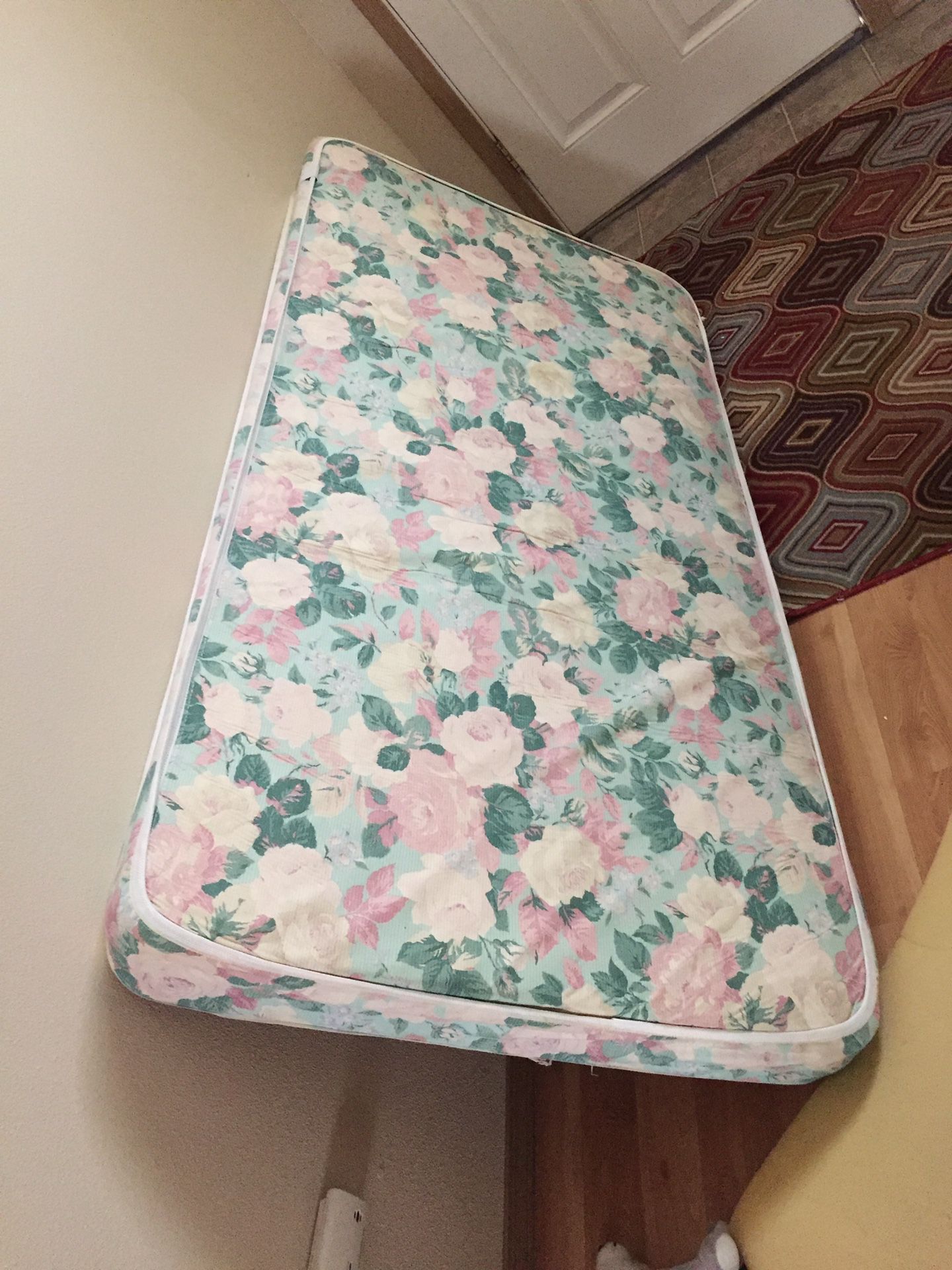 Free twin size mattress