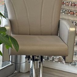 Salon Chair