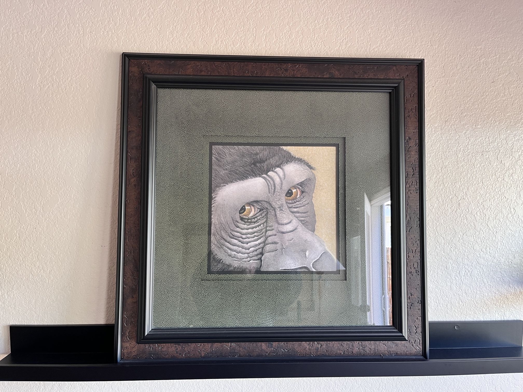 Animal Wall Art Gorilla With High End Professionally Framed