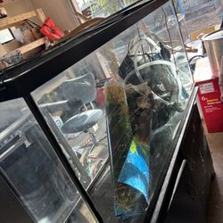 50 Gallon Tank And Stand 