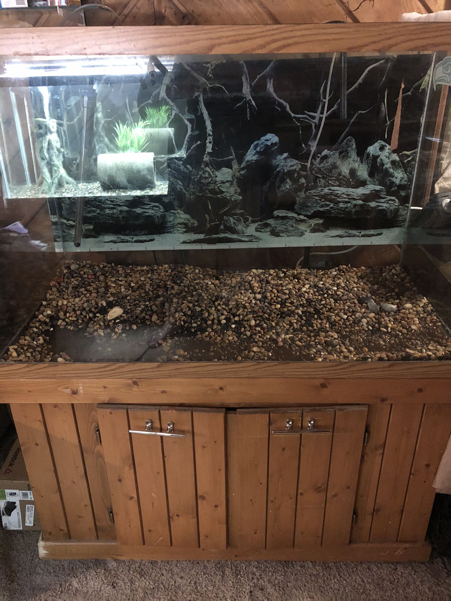 160 gallon aquarium fish tank