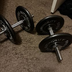 Two 20lb Dumbbells 