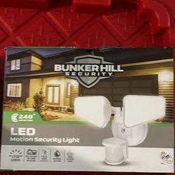 2100 Lumens Security Motion Light