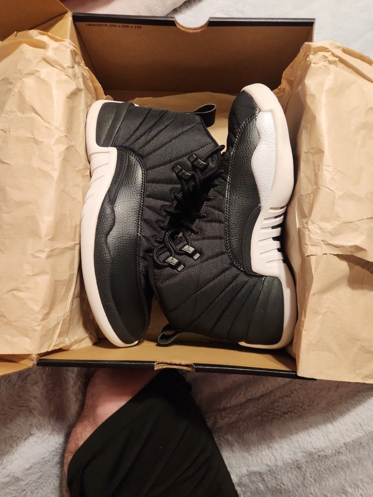 Jordan 12 Nylon 