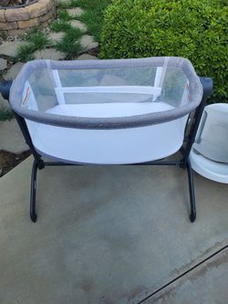 baby delight bassinet new 