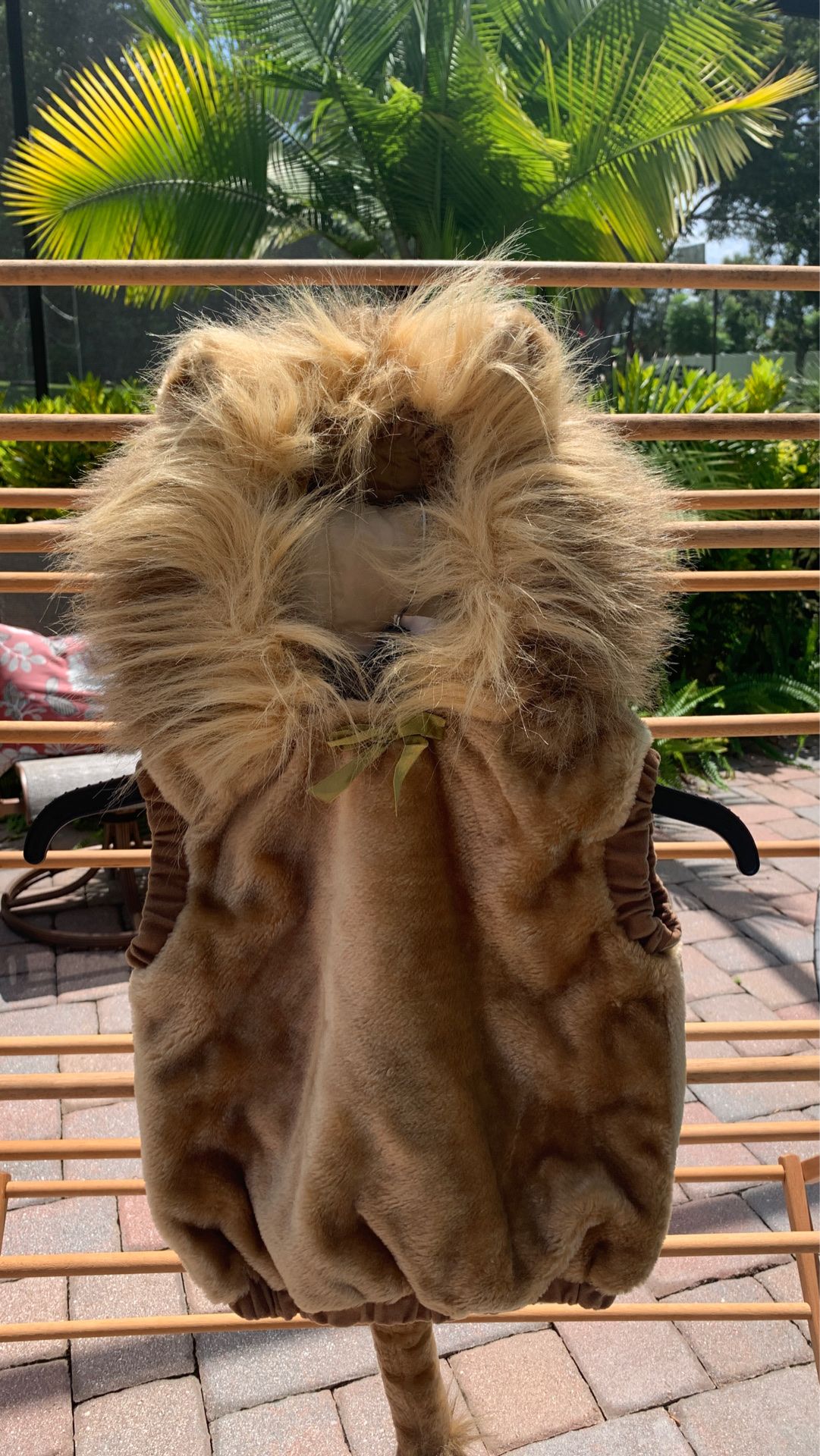 Halloween Lion costume 12-24 months