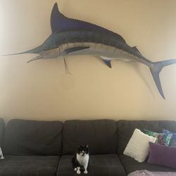 Large 8’ Fiberglass Blue Marlin – Professional Wall Mount – Statement Nautical decor