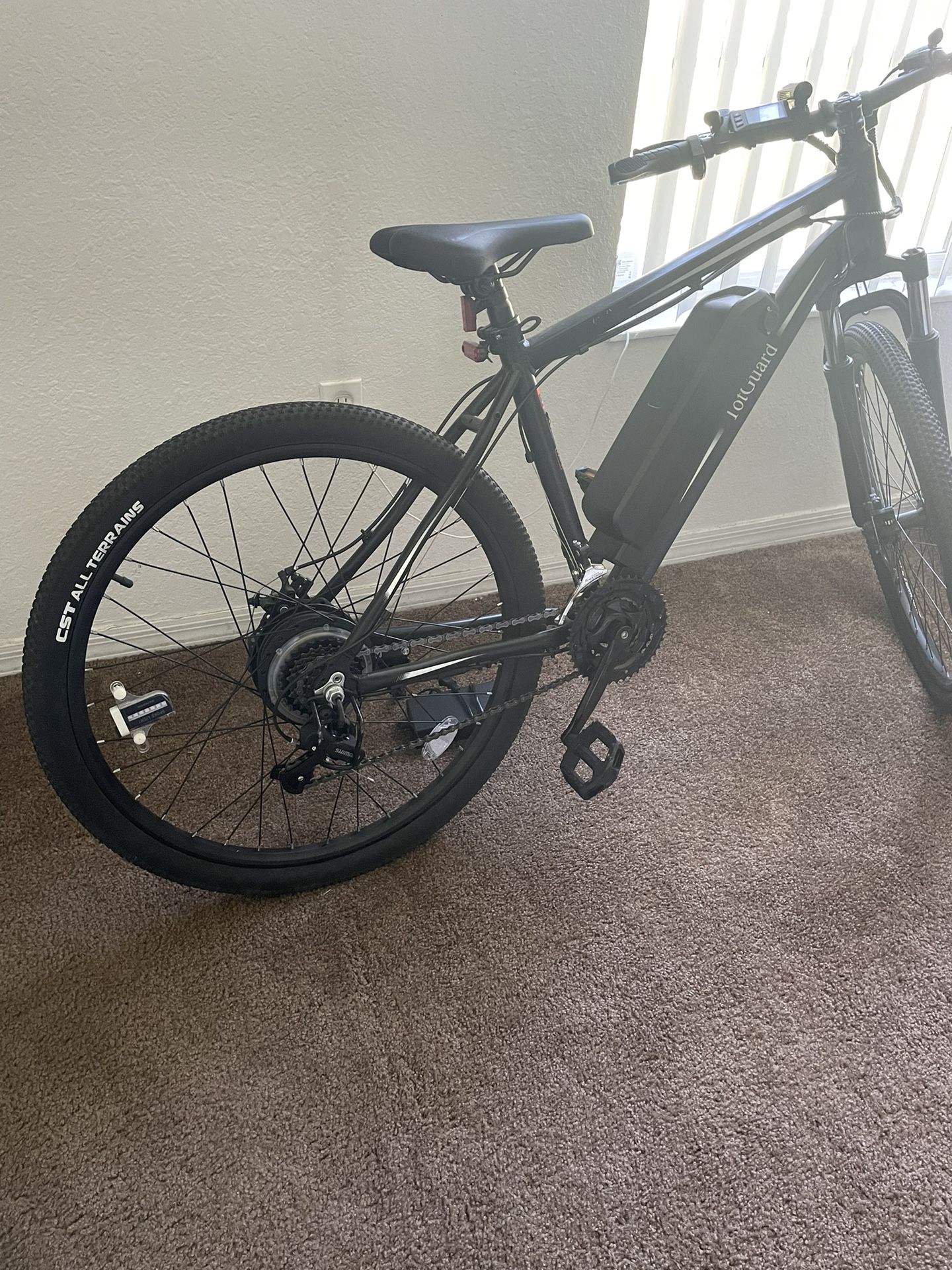 Topguard E Bike