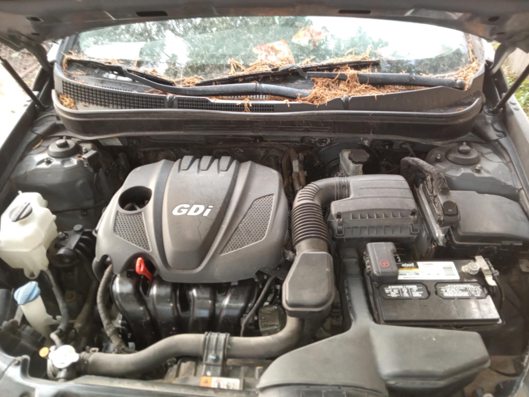 2013 Hyundai Sonata