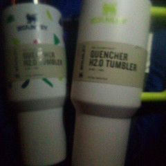 Stanley And Thermos Cups