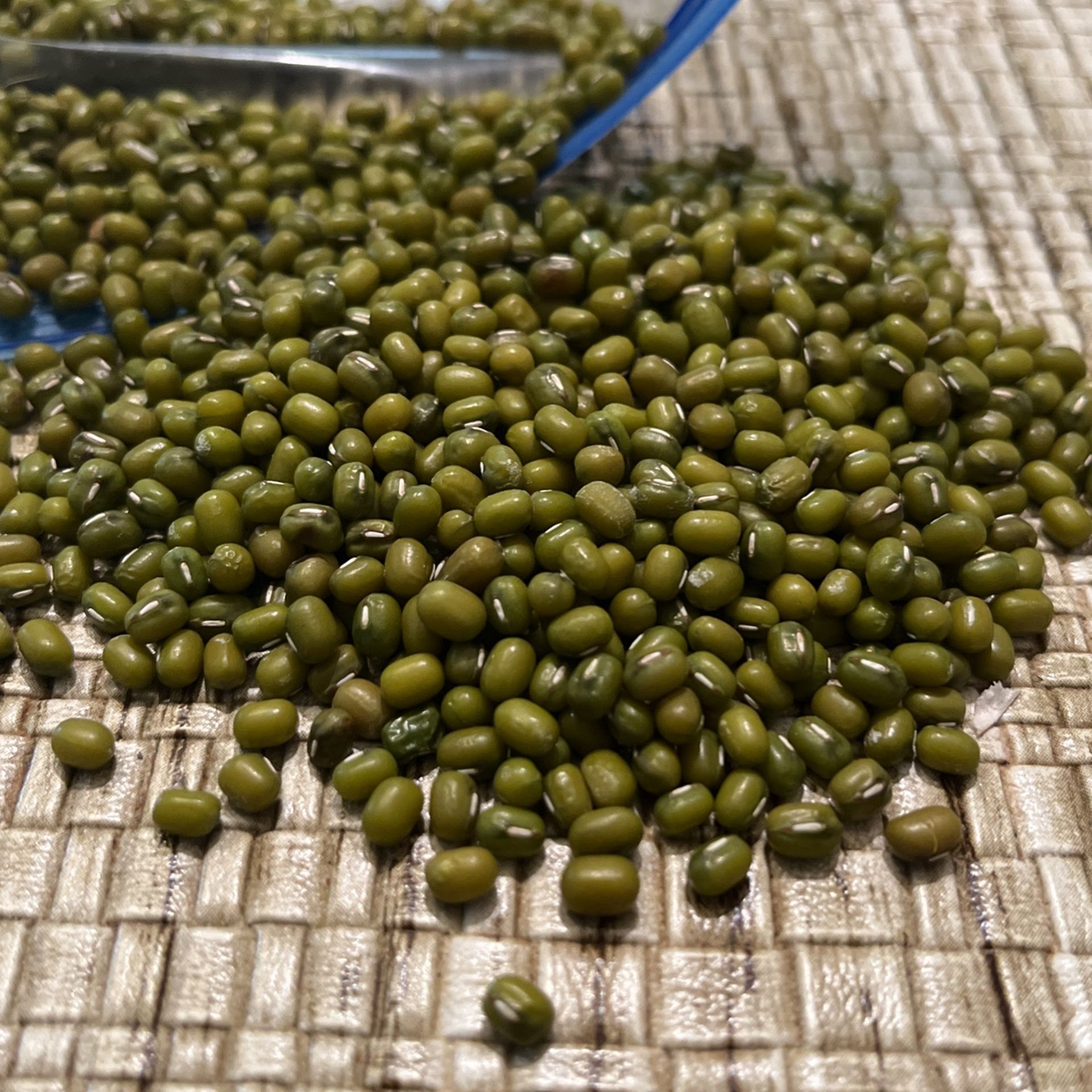 Moog Dal Organic We G Grow My Garden