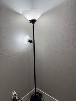 Black Floor Lamp with Reading Light
