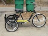 Adult Tricycle