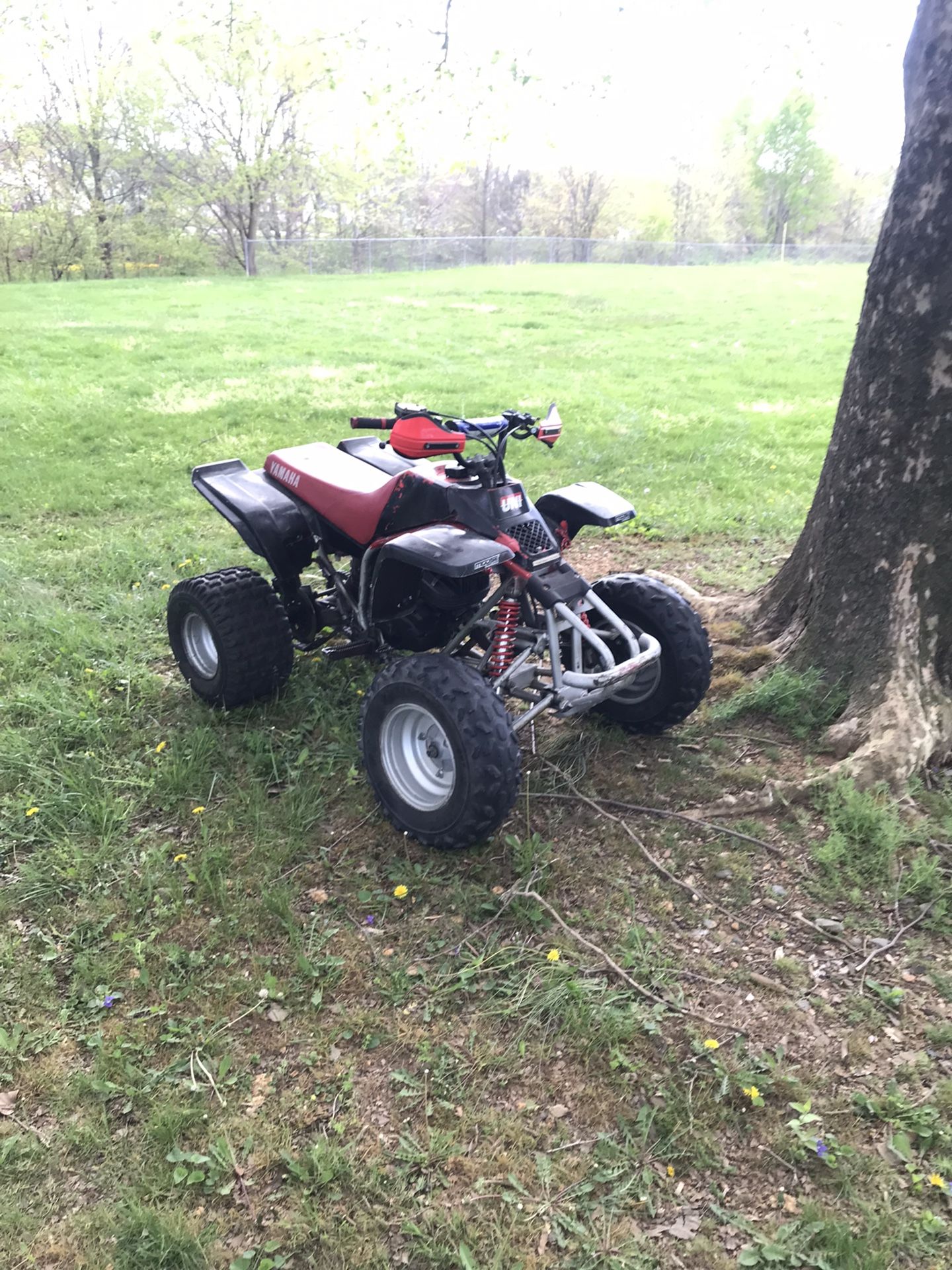 98 Blaster Good Bike Runs Good Strong Shifts Just Need Spark Plug And Exhausted Put In