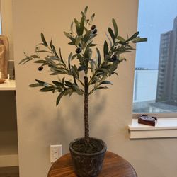Olive Fake Mini Tree With Gray Pot 