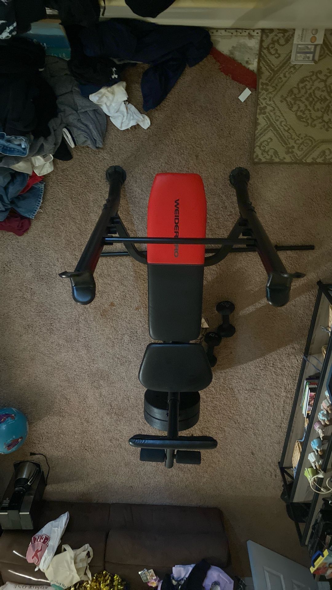 Weight Bench And Weights