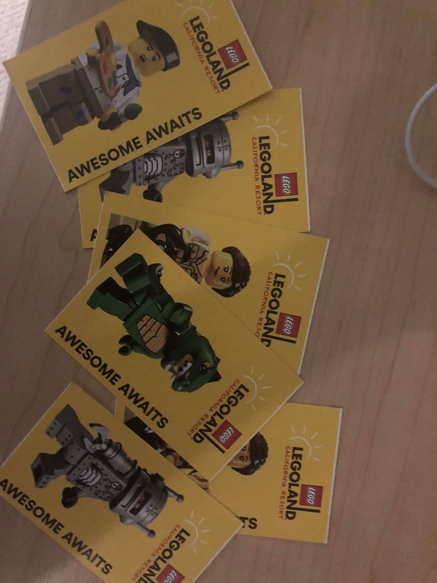 Legoland one day ticket valid until 3/31/2020