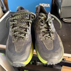 Hoka speed goat 3