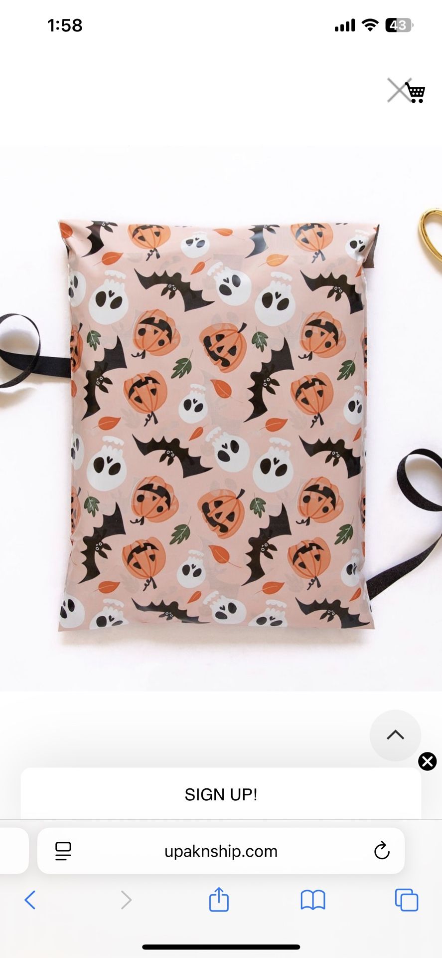 Halloween Themed Polymailer 10x13inch