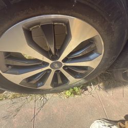 Rims 