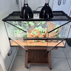 Reptile/Terrarium/Aquarium  50 Gallon From Opening Tank With Set Up ( Have More Tanks Available) ( No Animals Included ) *** Like New ***