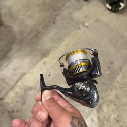 Fishing