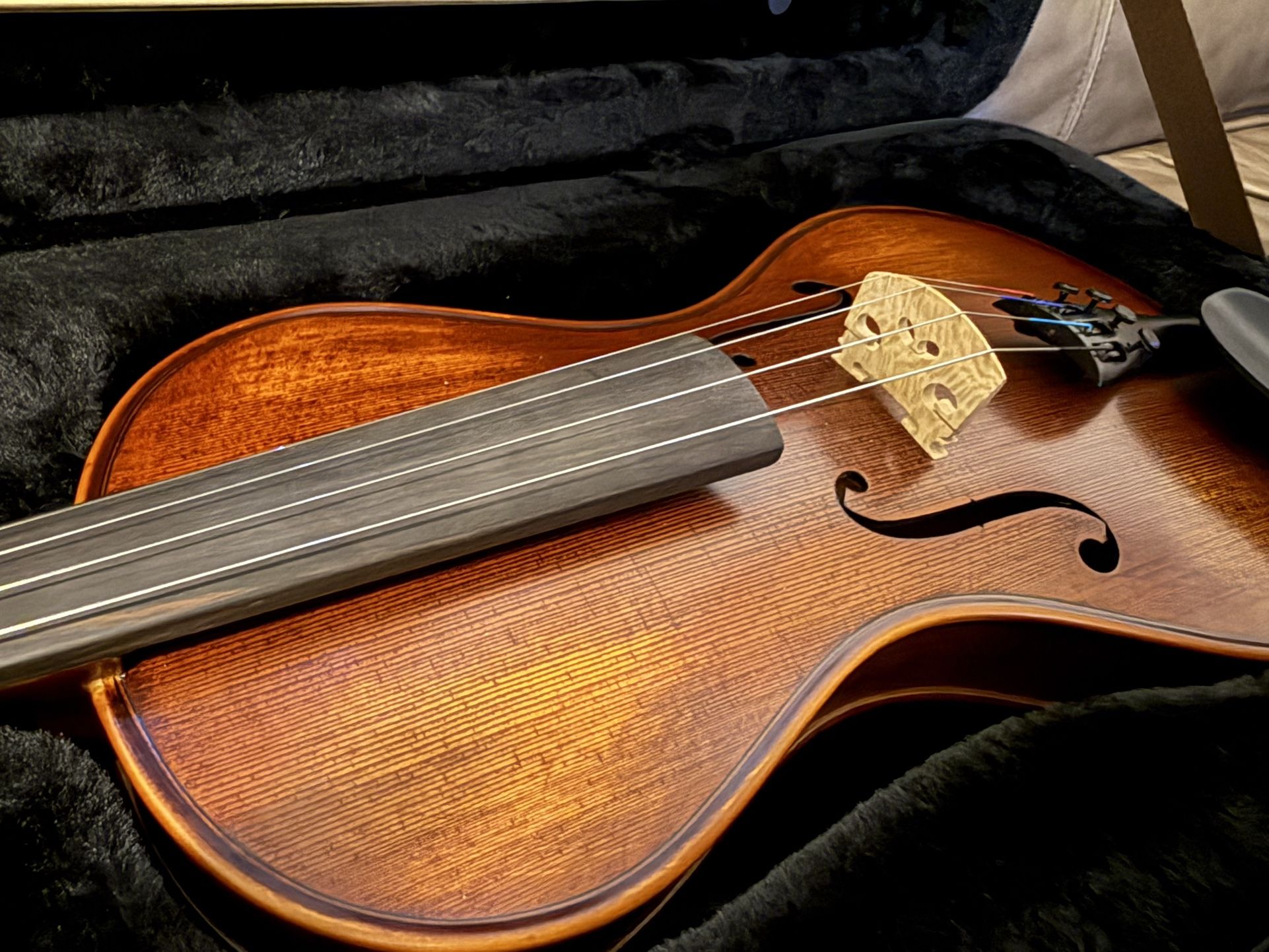 Violin , Unique shape