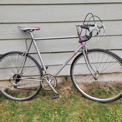 RALEIGH  TECHNIUM BIKE 
