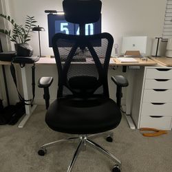 Sihoo M18 Ergonomic Chair