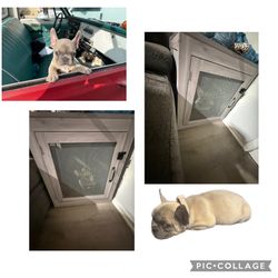 DOG cage