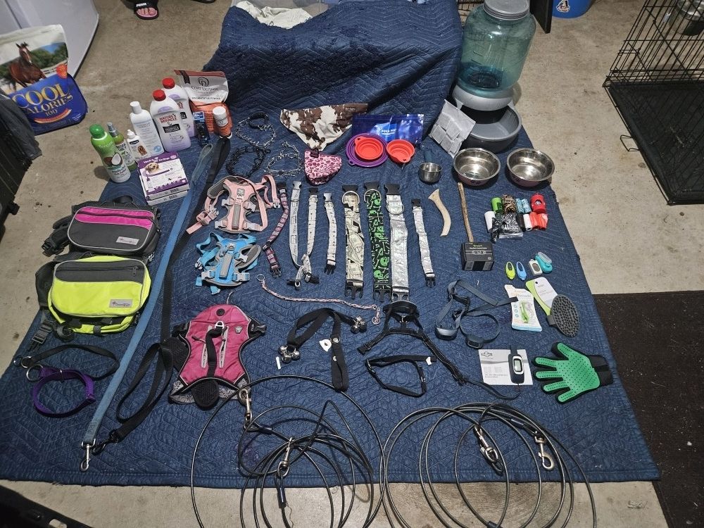 Dog Essentials Bundle