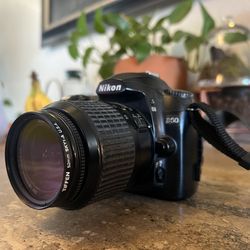 Nikon D50