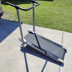 Sunny Treadmill Backward Walking