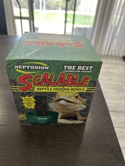 Reptile Feeding Bowl