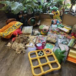 Huge Lot of Luau Party Decor 