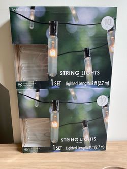 Ashland Test Tube String Lights 2-Pack