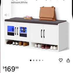 Shoe Organizer With Seat And Lighting