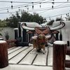 Toro Loco