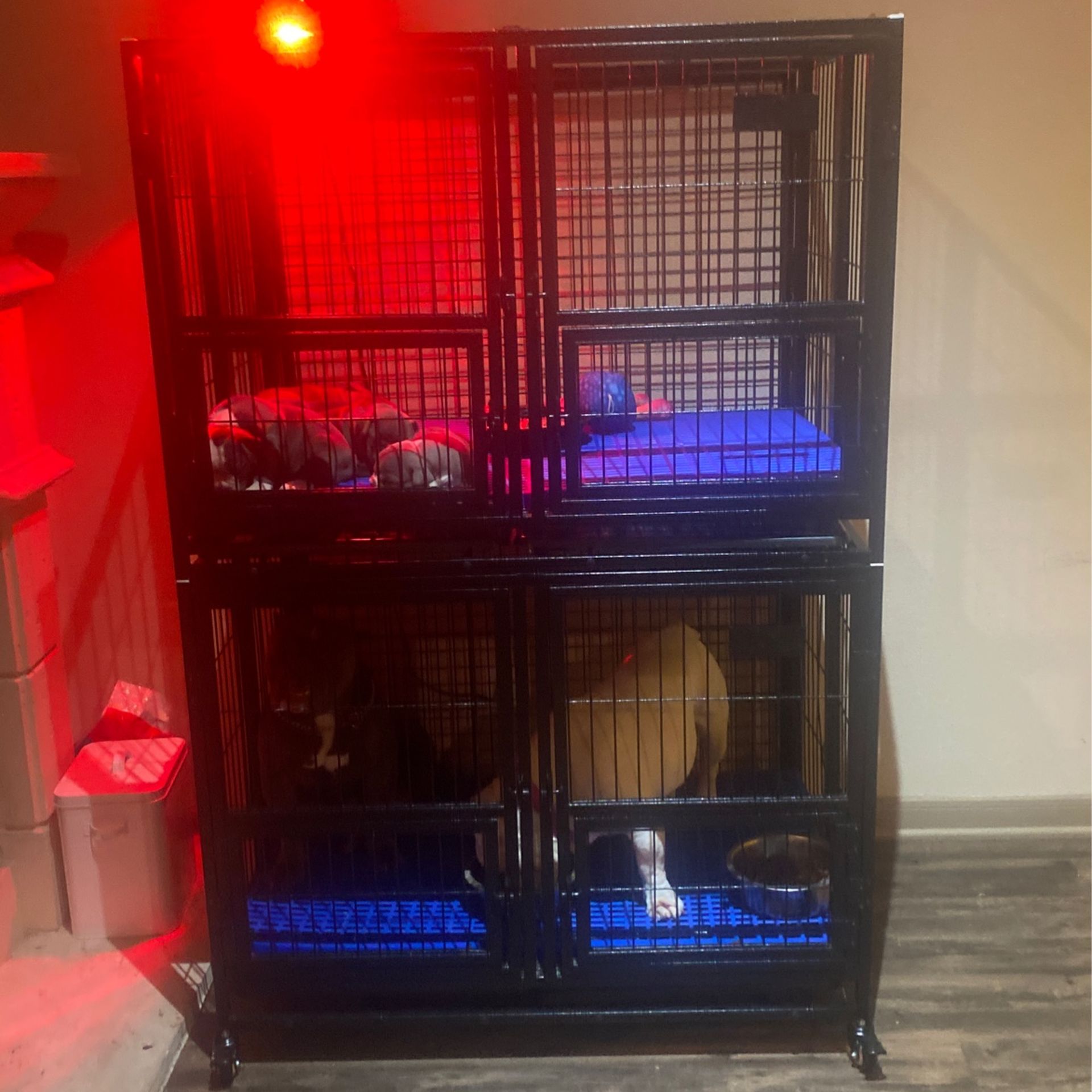 Dog Cage