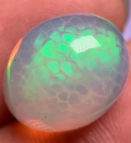 2 Ct. Australian Harlequin Opal AAA+ Grade Oval Gemstone 