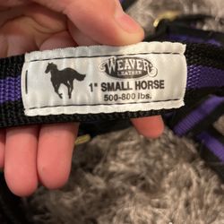 Small Horse Nylon Halter