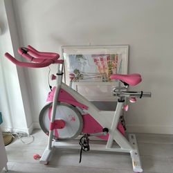 Sunny Stationary Bike 