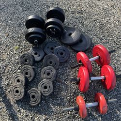 Dumbbells Bars Weights 
