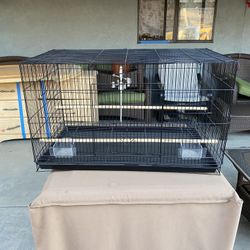 Bird Cage