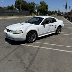 2000 Ford Mustang