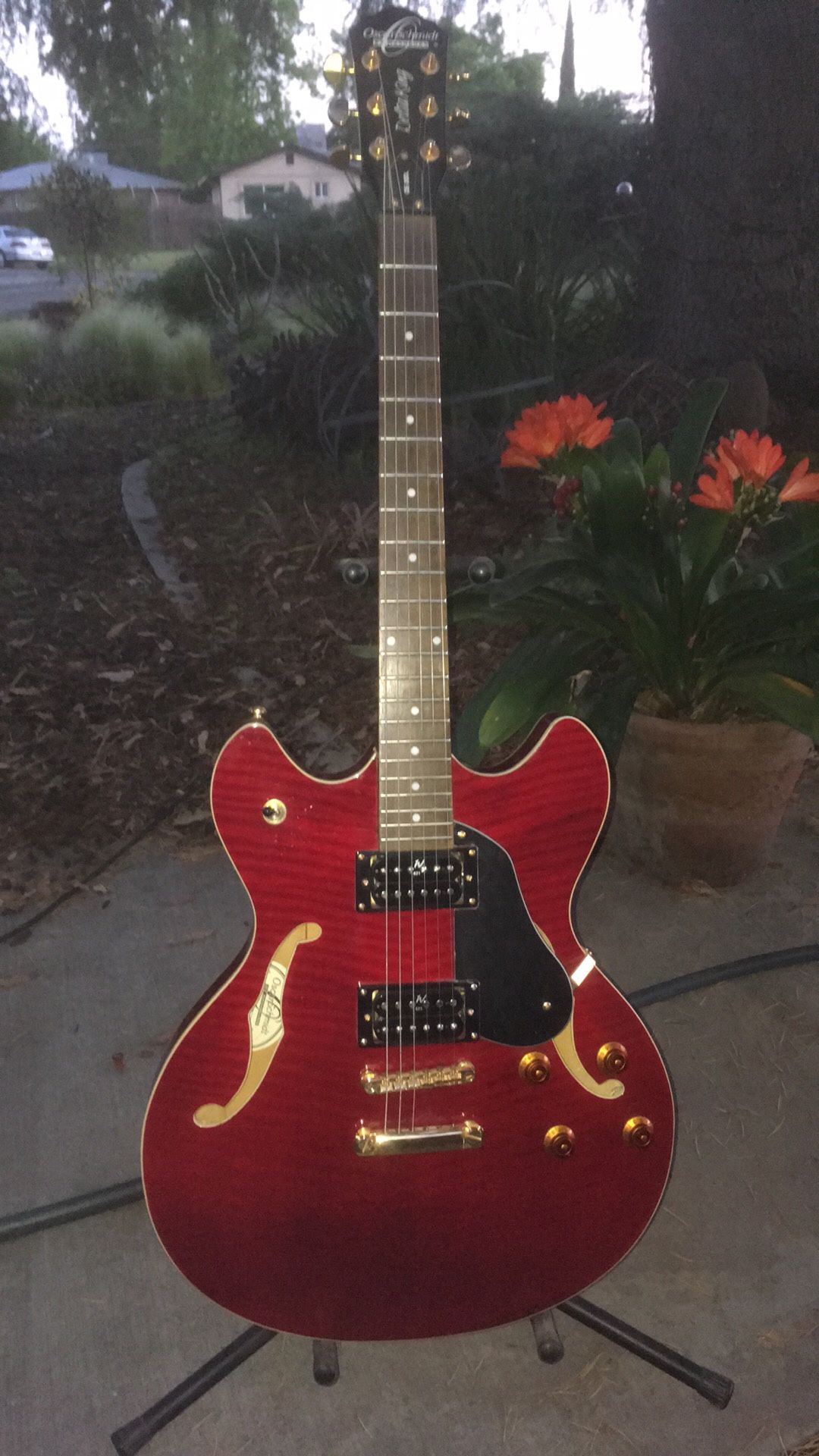 Oscar Schmidt Oe30dl Semi Hollowbody Electric Guitar