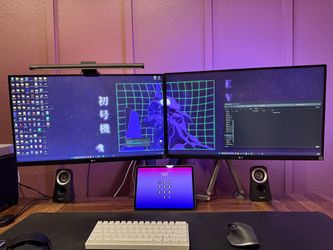 Dual LG Monitor Setup 4K with Stand