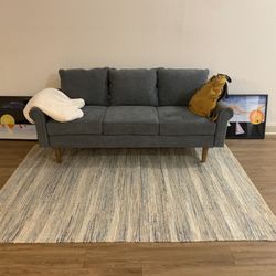 Light Gray Couch